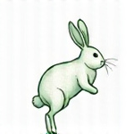 Stylized rabbit emblem representing 100% cruelty-free methods